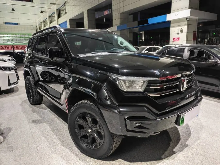 Tank 2024 Tank 400 Hi4-T 2.0T off-road version automatic gear 3