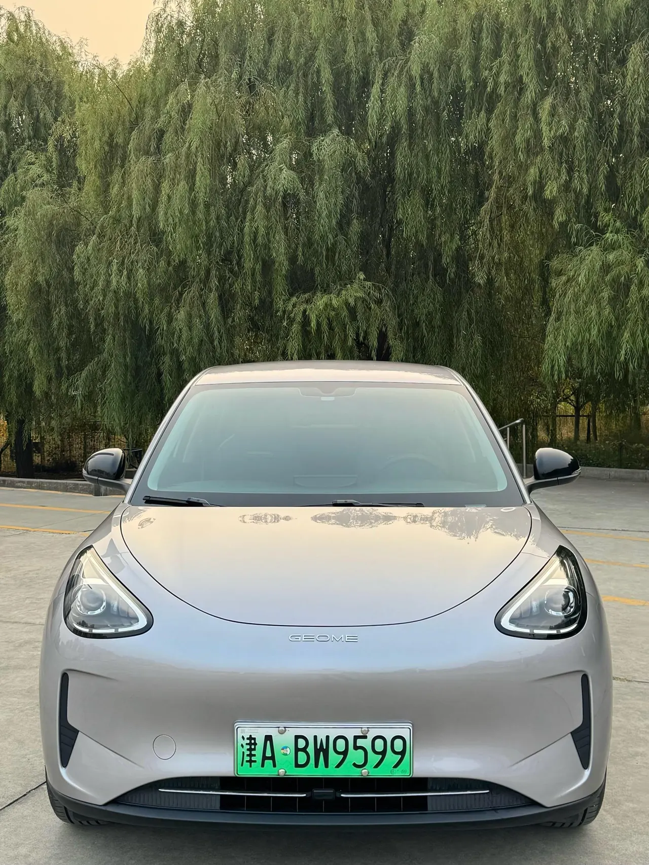 Geely 2025 Star Wish 310km Youth Edition Automatic Gear 2