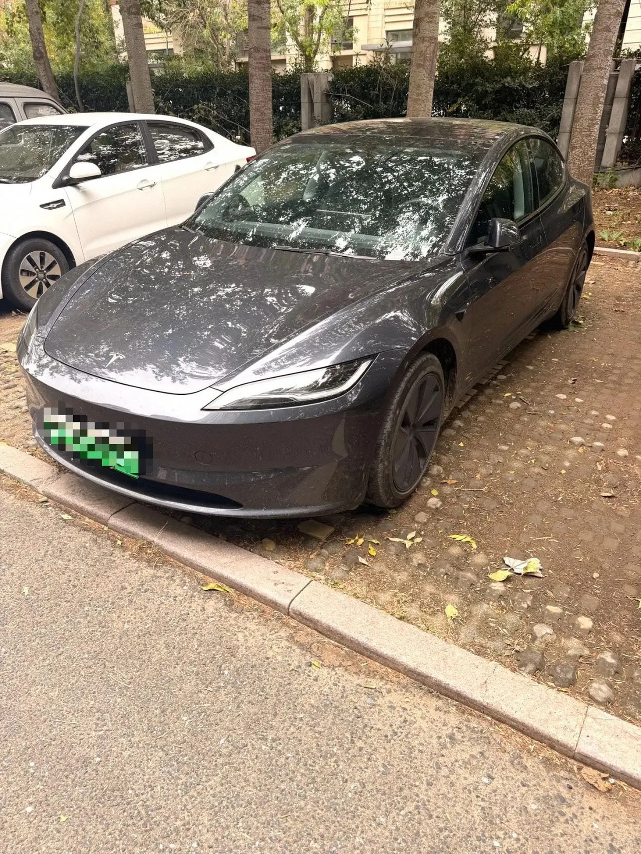 Tesla 2023 Model 3 Rejuvenation Edition Rear Wheel Drive Automatic Transmission - View 1