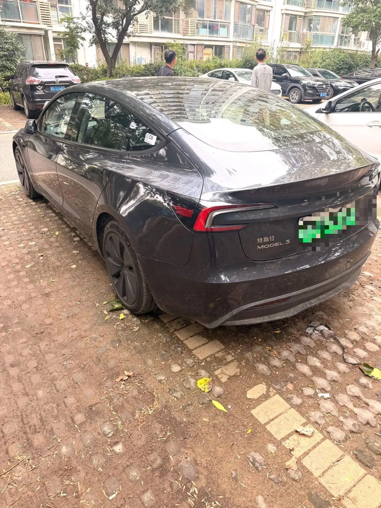 Tesla 2023 Model 3 Rejuvenation Edition Rear Wheel Drive Automatic Transmission 2