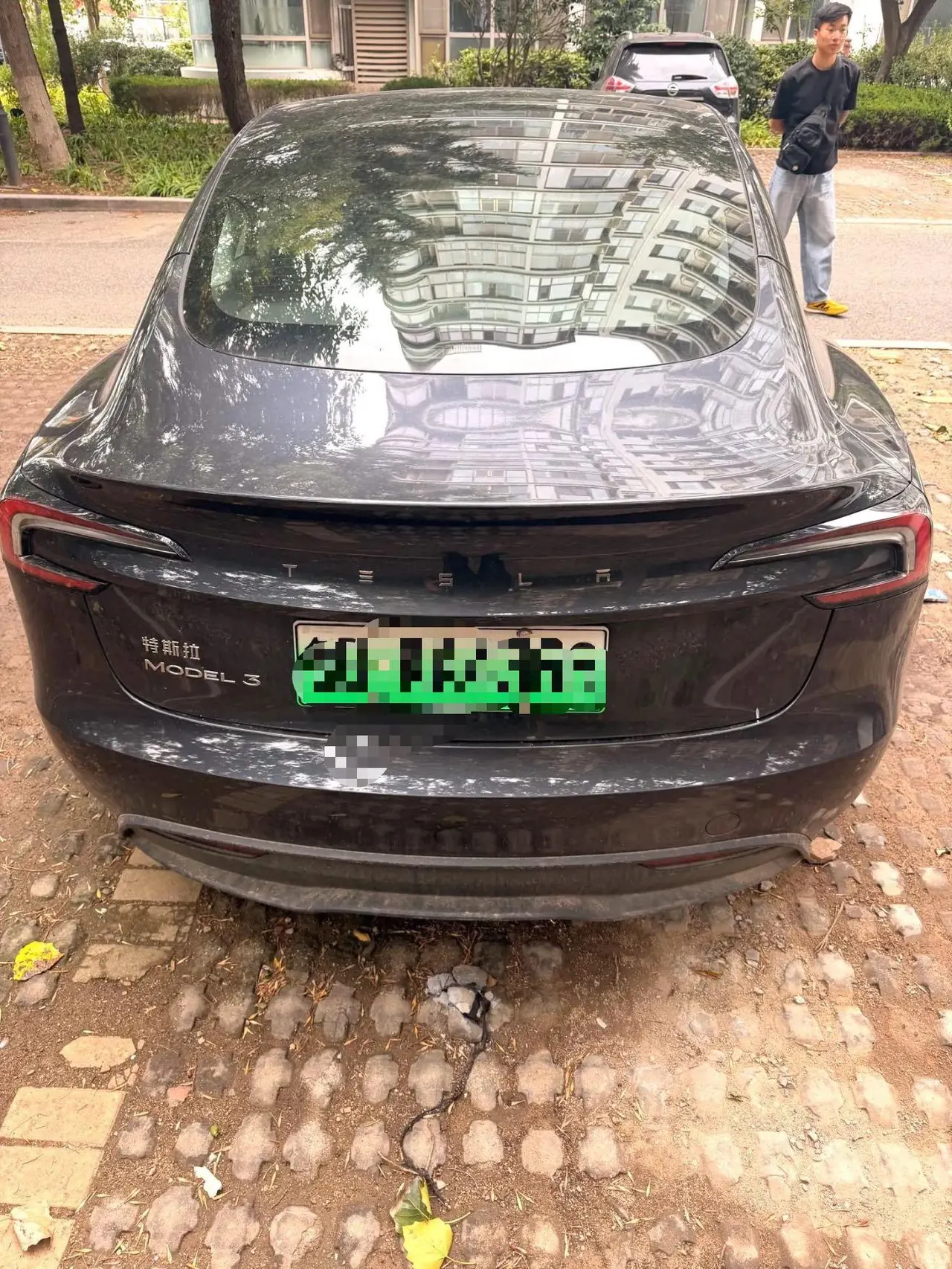 Tesla 2023 Model 3 Rejuvenation Edition Rear Wheel Drive Automatic Transmission 3