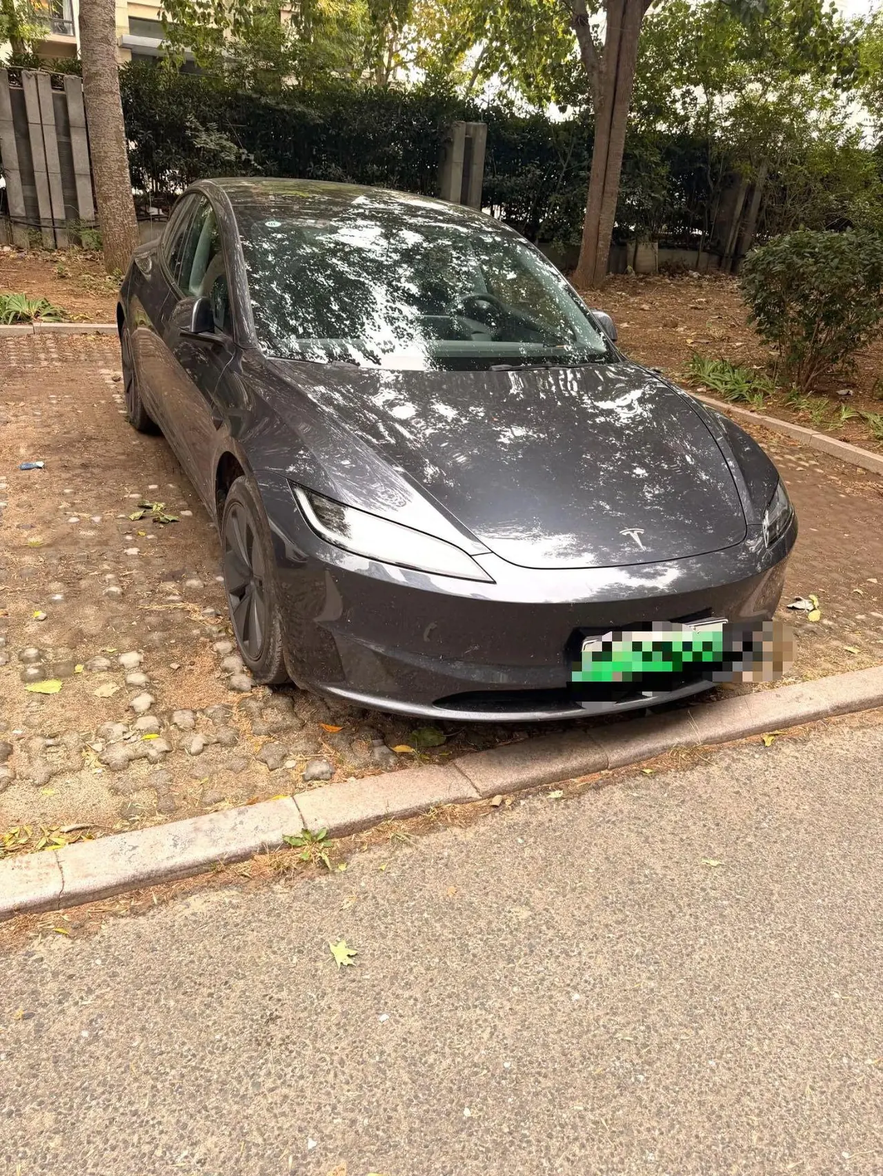 Tesla 2023 Model 3 Rejuvenation Edition Rear Wheel Drive Automatic Transmission 5