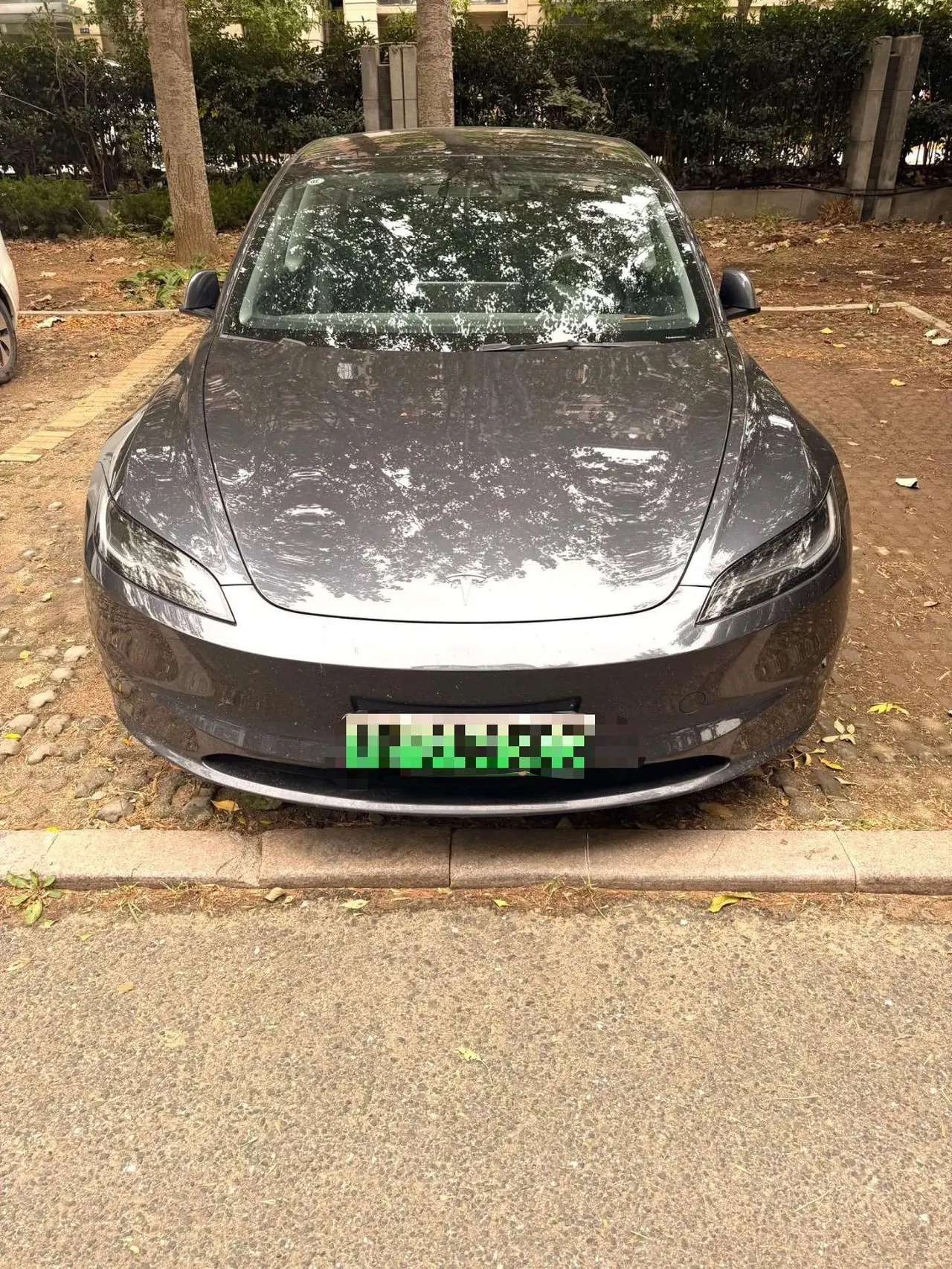Tesla 2023 Model 3 Rejuvenation Edition Rear Wheel Drive Automatic Transmission 6