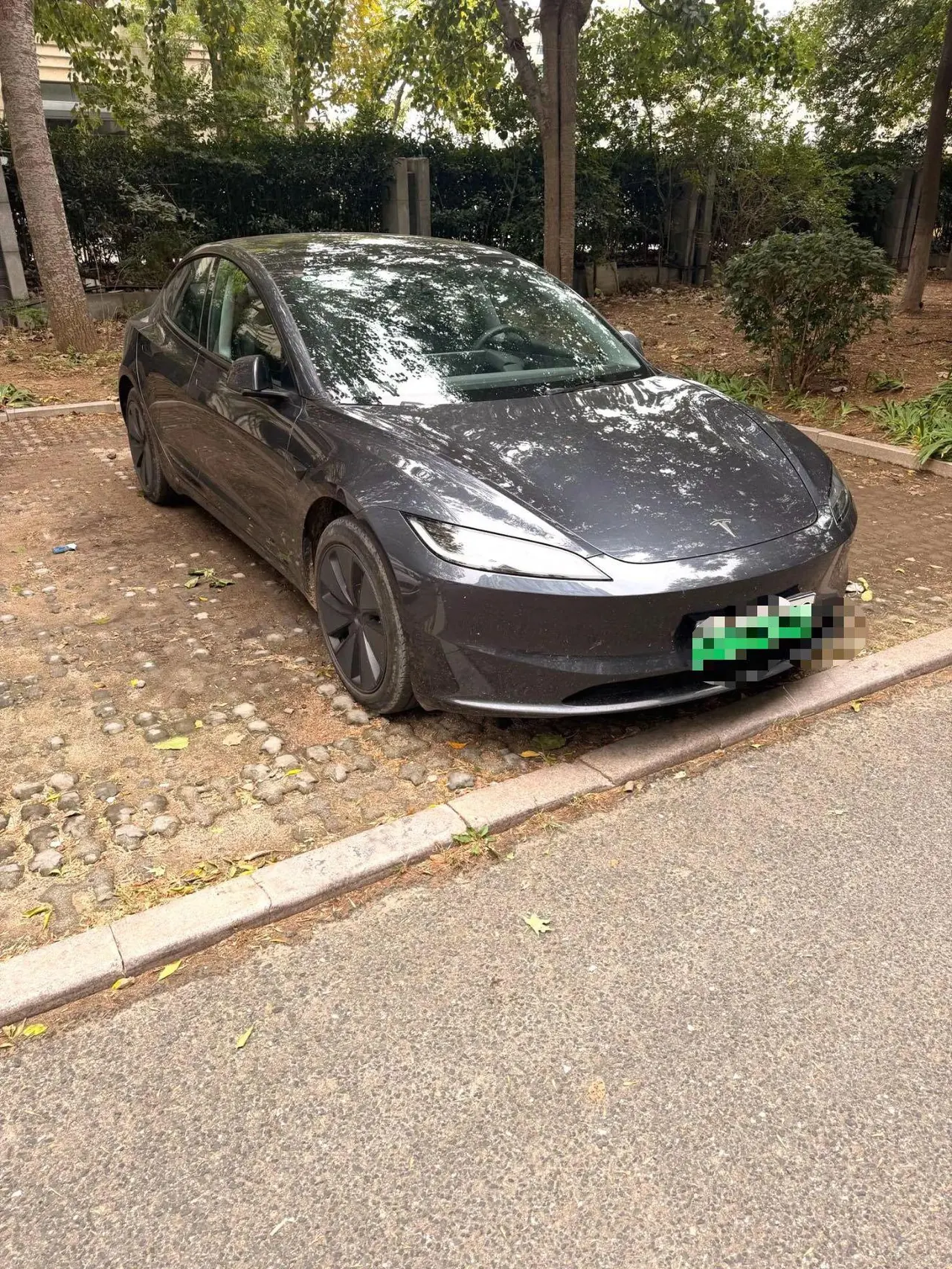 Tesla 2023 Model 3 Rejuvenation Edition Rear Wheel Drive Automatic Transmission 7