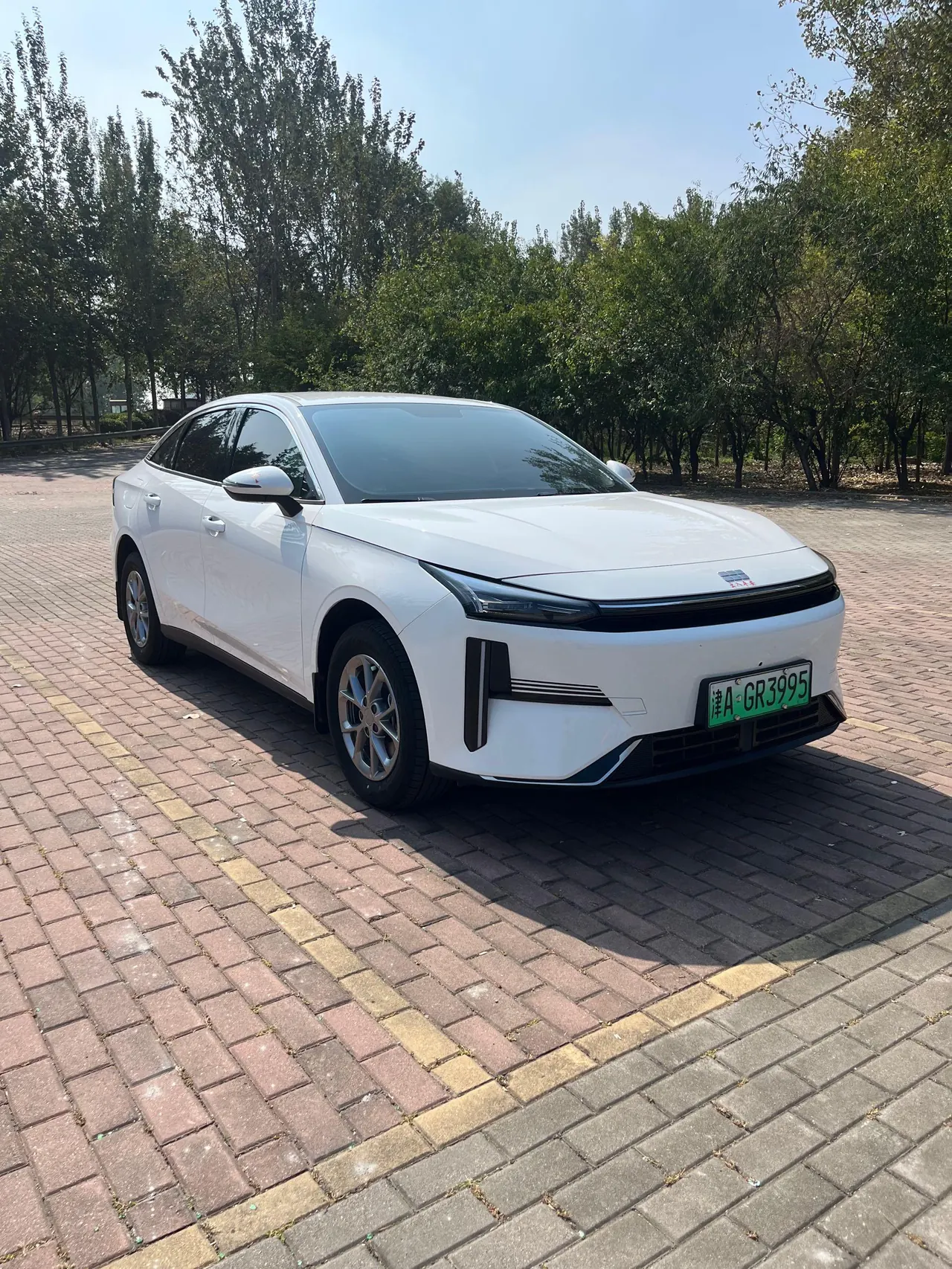 Geely Galaxy 2025 L6 EM-i 1.5 60km sailing version of automatic gear 2
