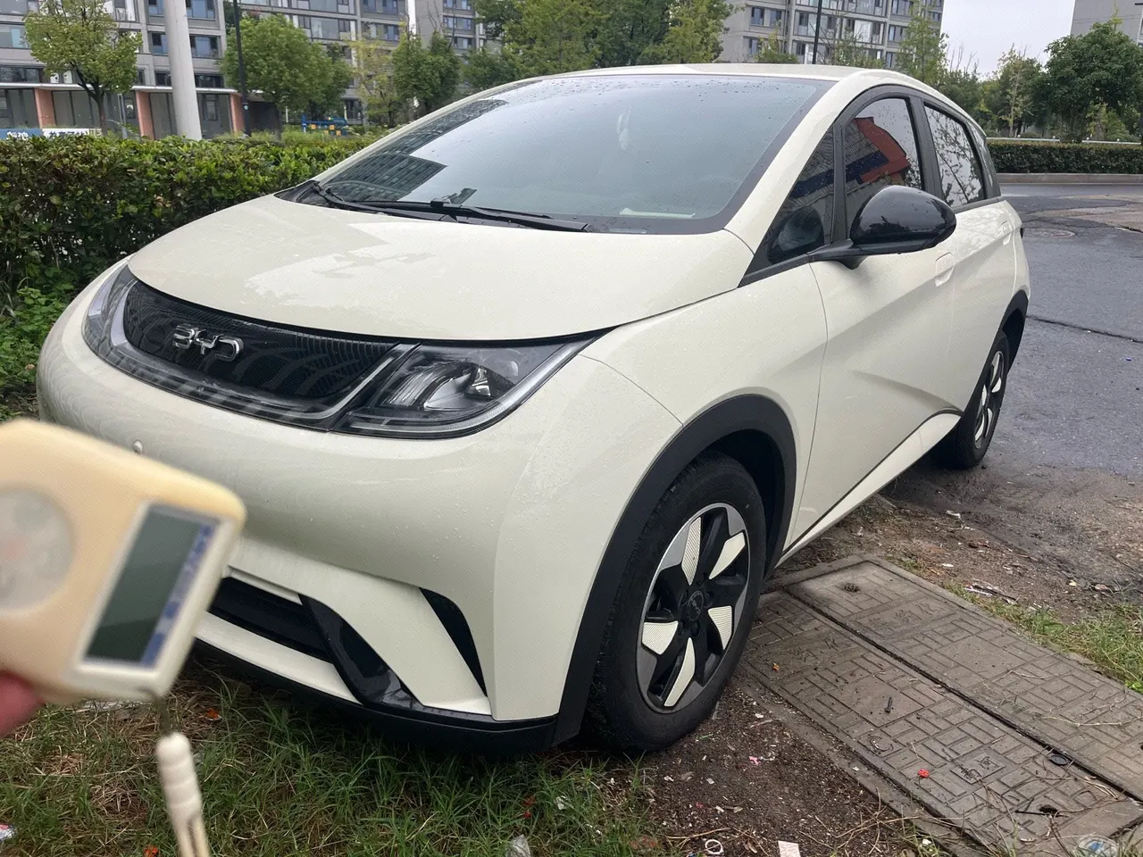 Open image lightbox: BYD 2025 Dolphins 420km Free Edition Automatic