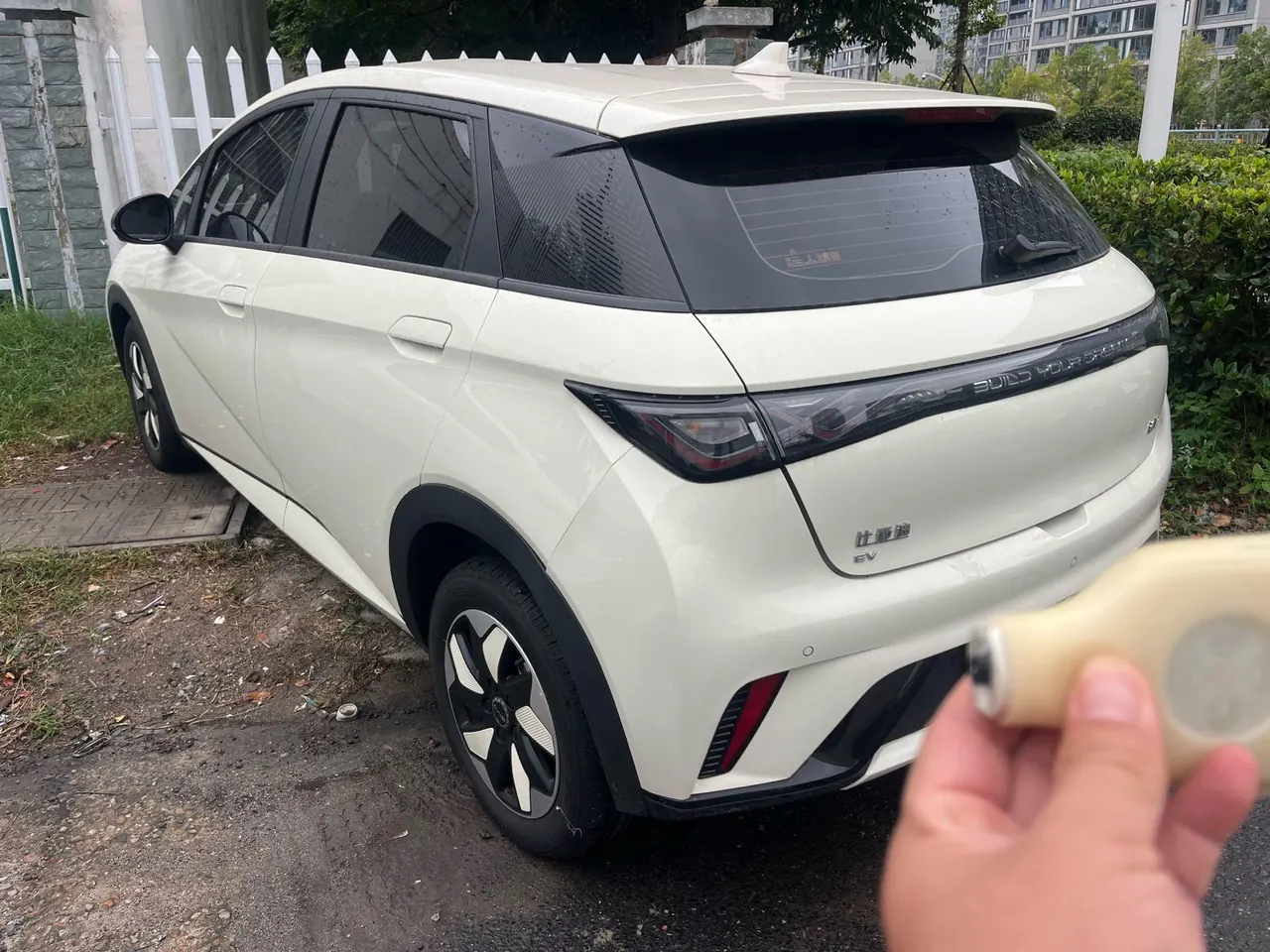 BYD 2025 Dolphins 420km Free Edition Automatic 2