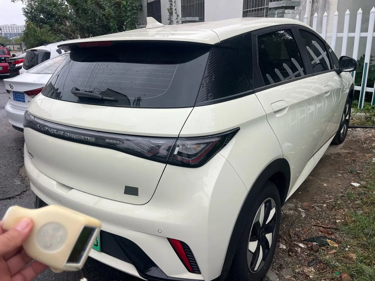 BYD 2025 Dolphins 420km Free Edition Automatic 3