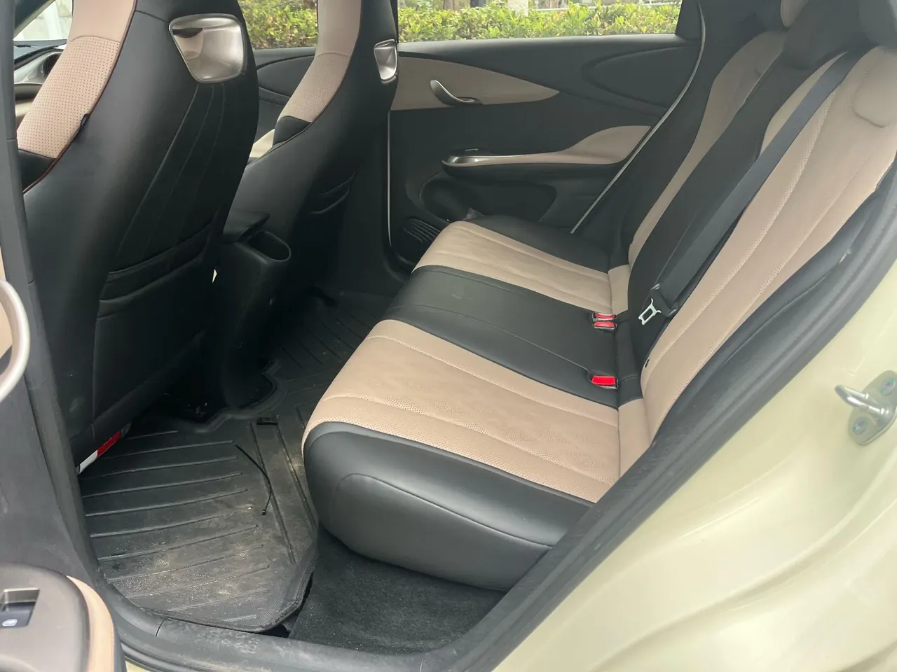 BYD 2025 Dolphins 420km Free Edition Automatic 6