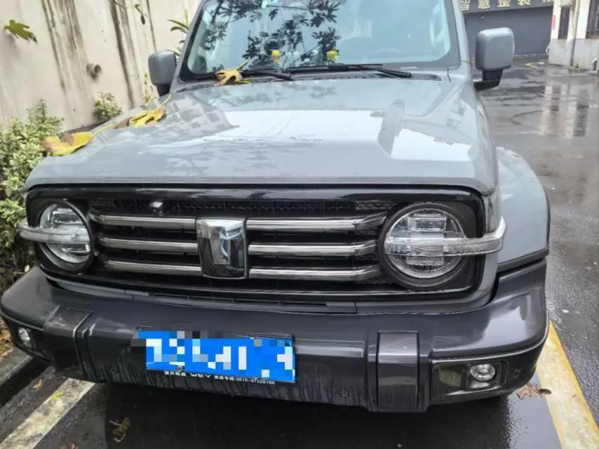 Tank 2023 Tank 300 2.0T City Edition Very Automatic 2
