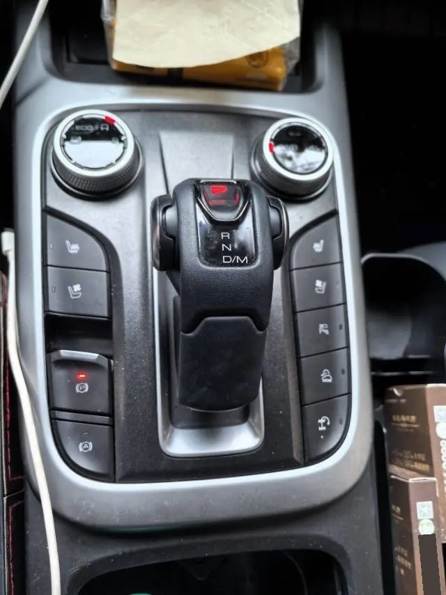 Tank 2023 Tank 300 2.0T City Edition Very Automatic 8