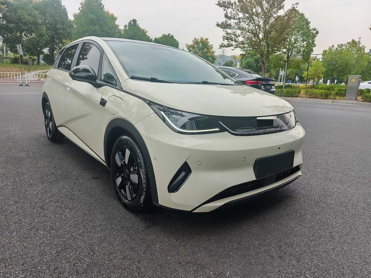BYD 2025 Dolphin Smart Driving 410km Fashion Automatic Gear 3