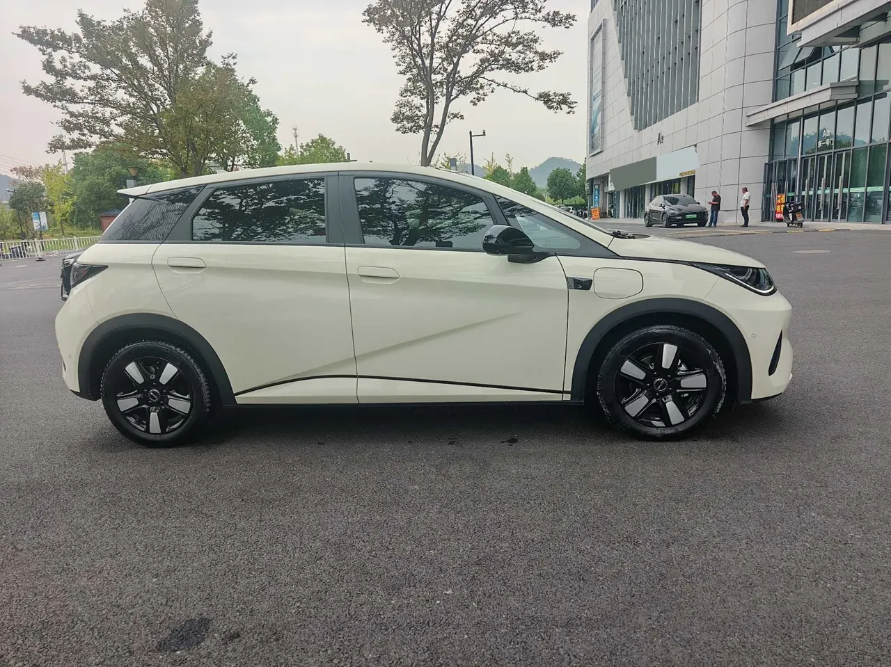 BYD 2025 Dolphin Smart Driving 410km Fashion Automatic Gear 4