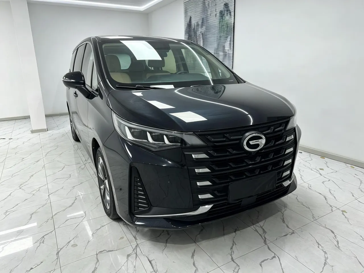 Chuanqi 2021 M6 1.5T 270T Deluxe Edition 7-seat Automatic Gear 13