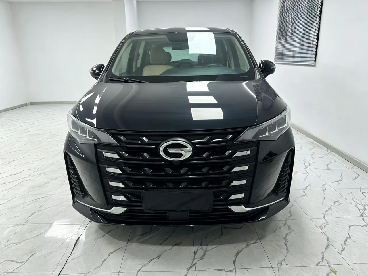 Chuanqi 2021 M6 1.5T 270T Deluxe Edition 7-seat Automatic Gear 14
