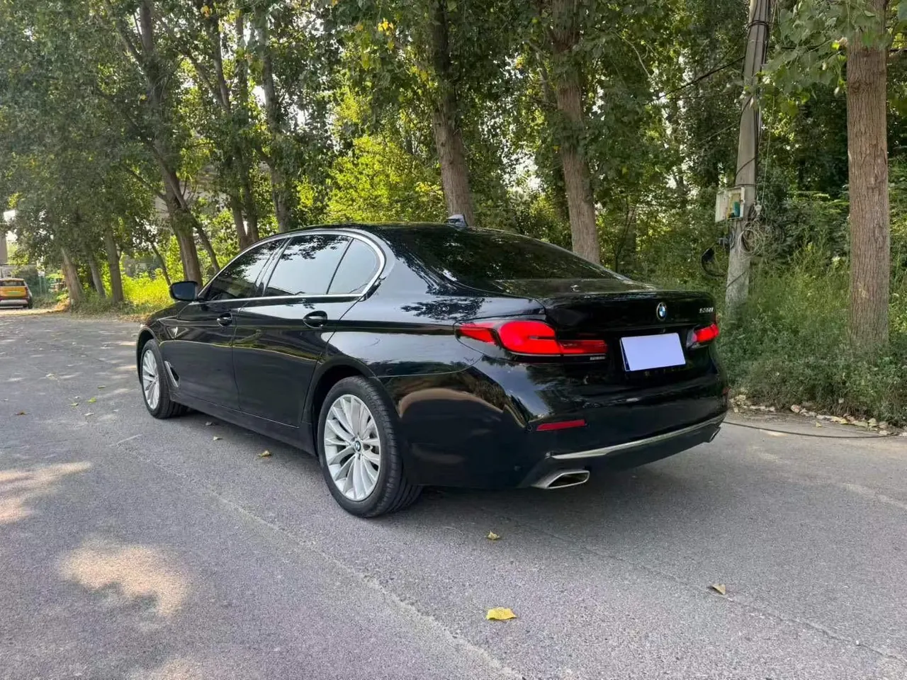 BMW 5 Series 2021 525Li 2.0T Luxury Suit Automatic Gear 5