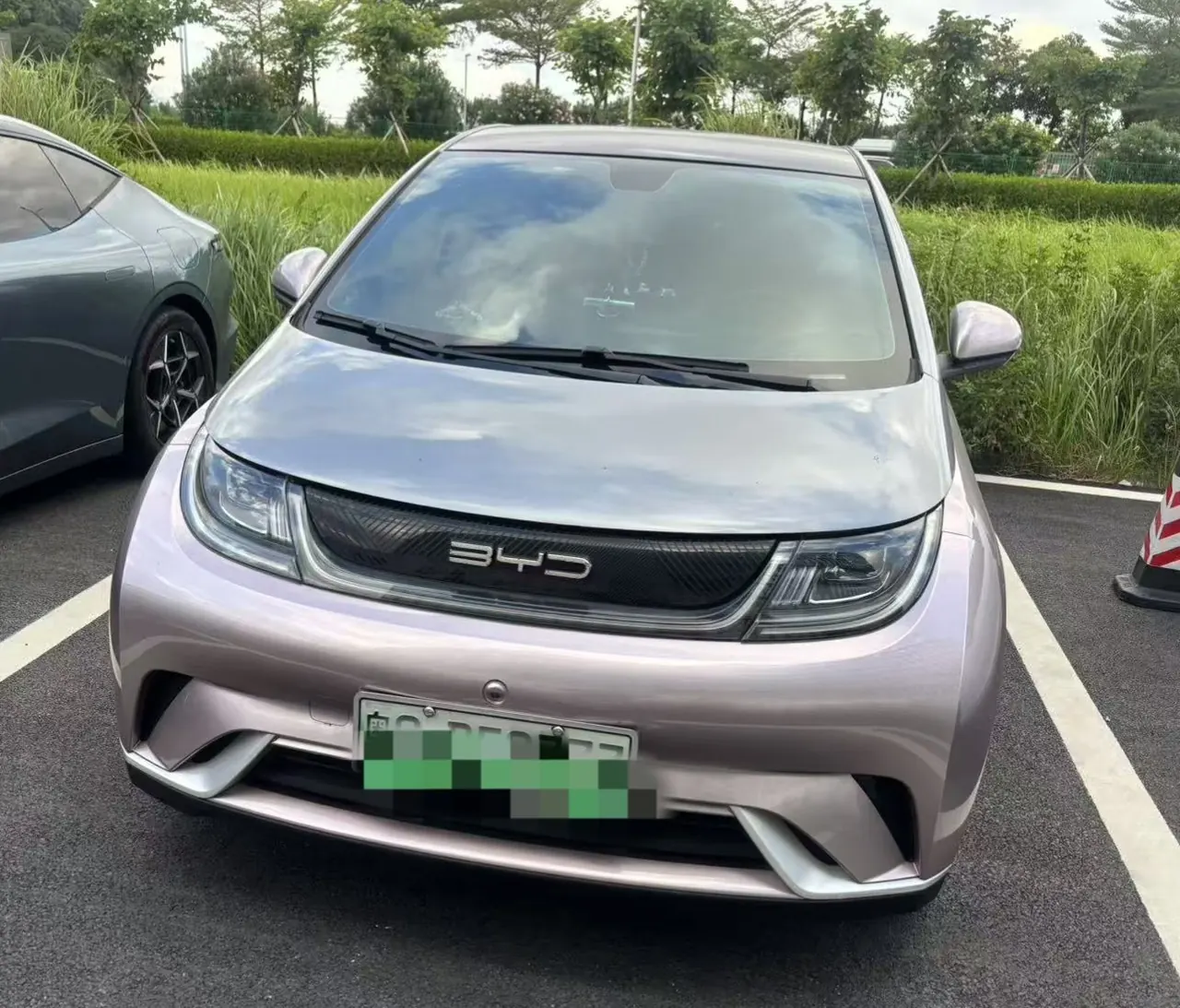 BYD 2021 Dolphin 405km Fashion Edition Automatic 2