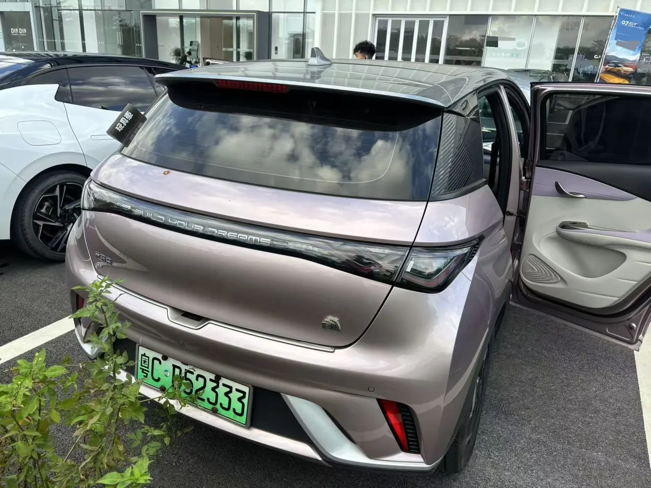 BYD 2021 Dolphin 405km Fashion Edition Automatic 5