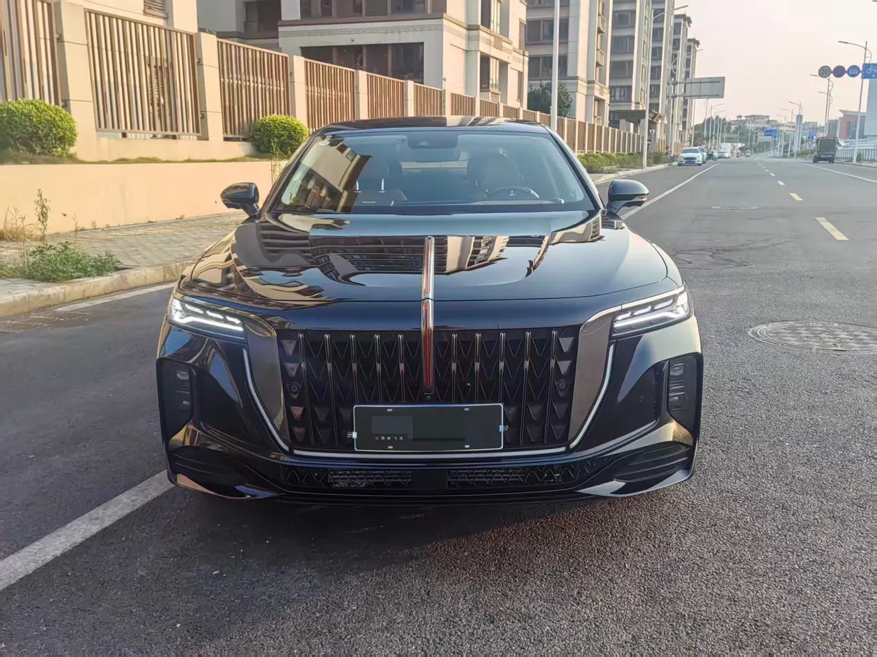 HongQi 2025 H9 48V 2.0T two-wheel drive flag smooth private fashion version 5 automatic gear 3