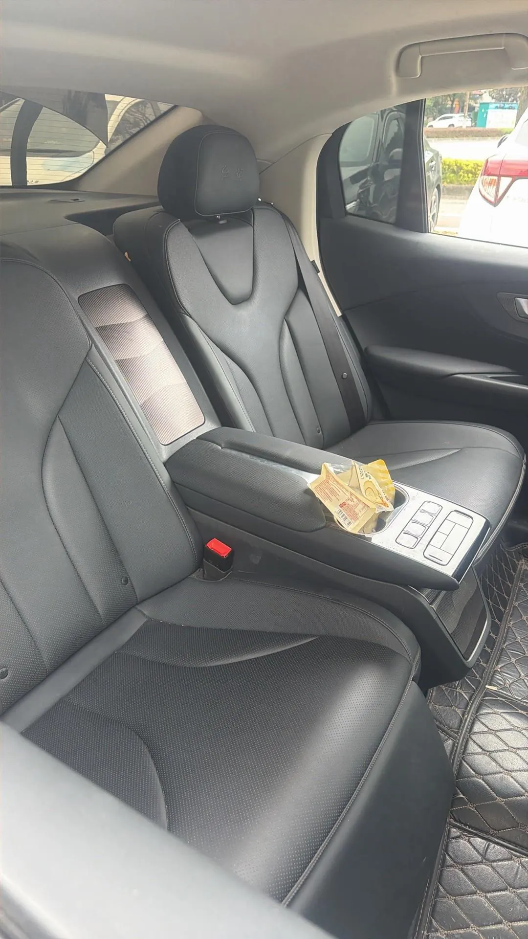 HongQi 2021 E-QM5 Charging Flag Edition Automatic Transmission 3