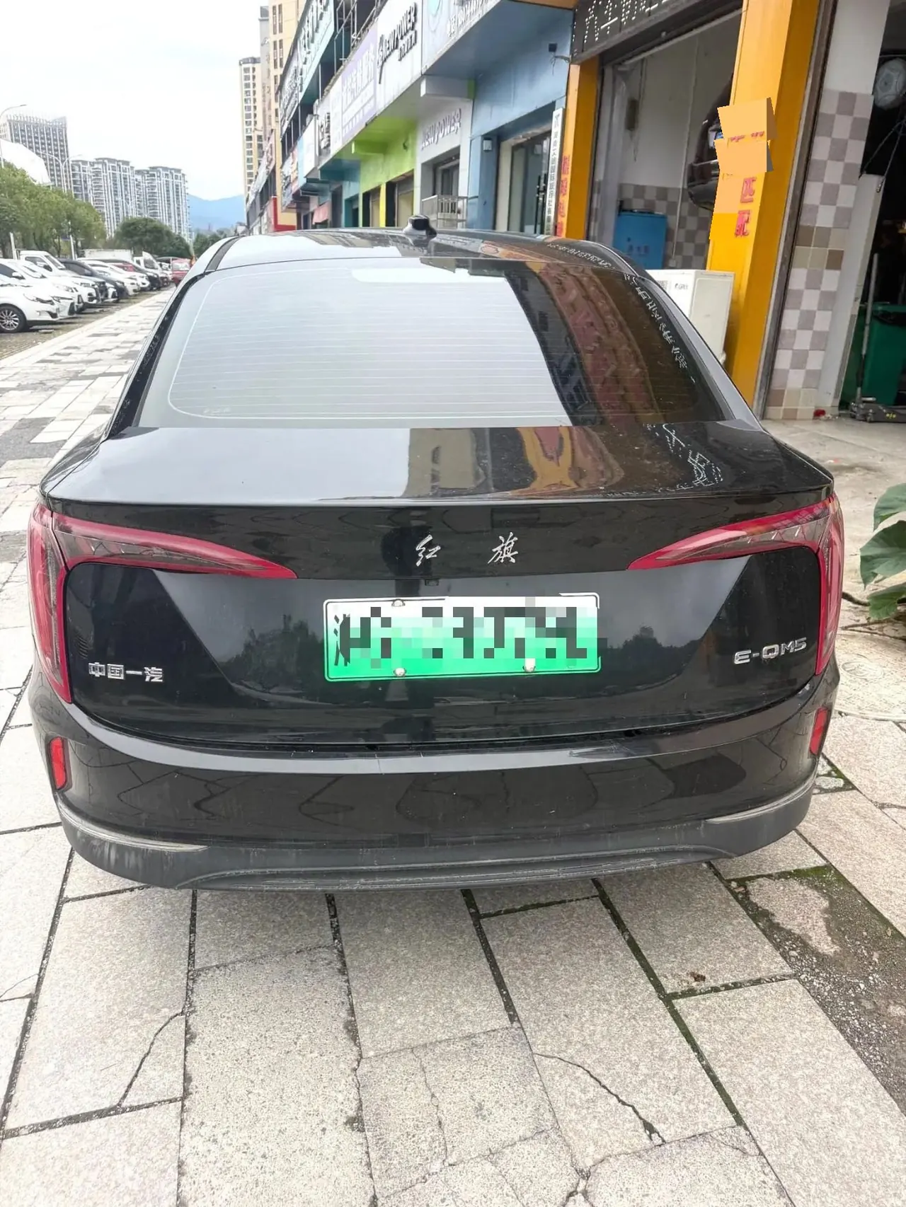 HongQi 2021 E-QM5 Charging Flag Edition Automatic Transmission 4