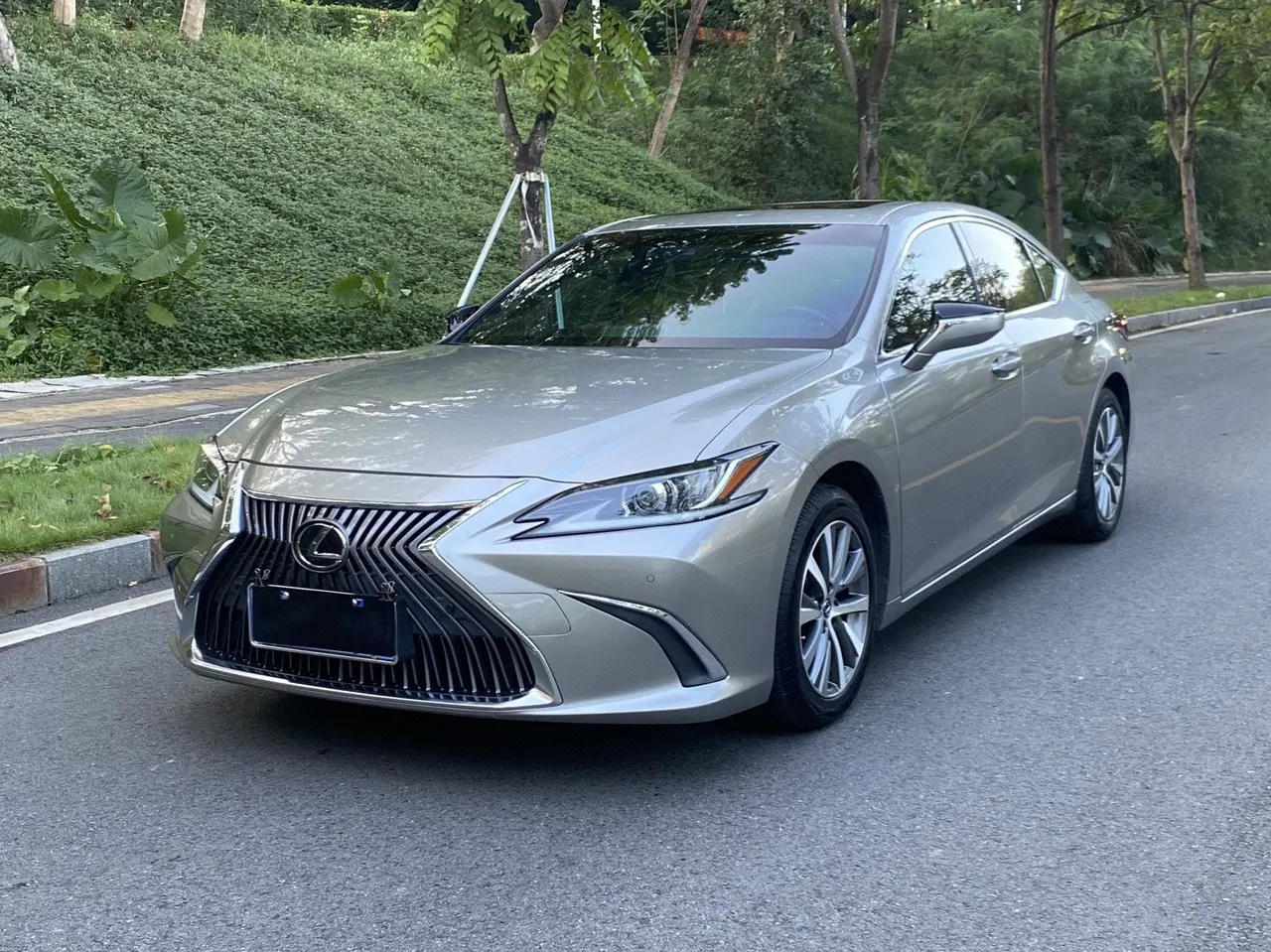 Lexus ES (Imported) 2020 ES200 2.0 Stepless Premium Edition Automatic Gear - View 1