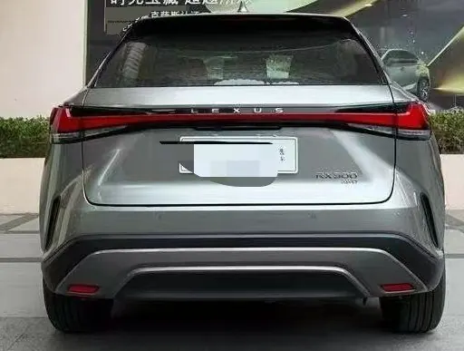 Lexus RX (Imported) 2024 RX300 2.0T Four-wheel Drive Edition Automatic Gear 11