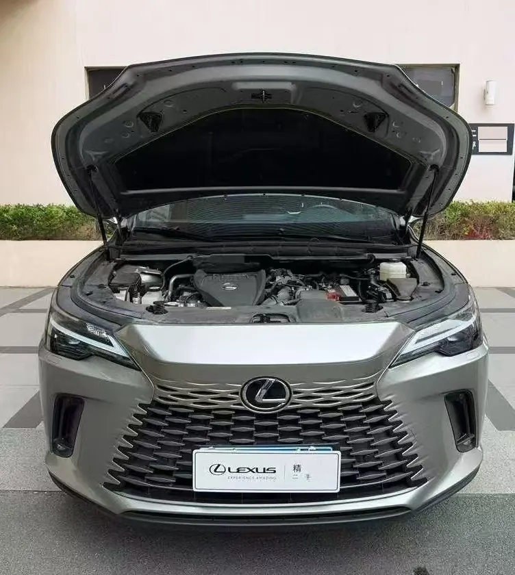 Lexus RX (Imported) 2024 RX300 2.0T Four-wheel Drive Edition Automatic Gear 3
