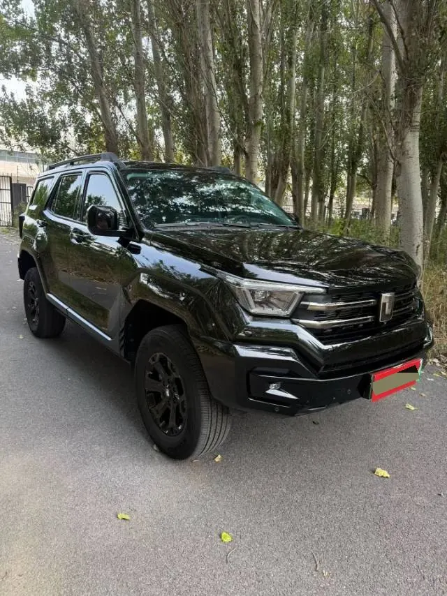 Tank 2024 Tank 400 Hi4-T 2.0T City Edition Automatic Gear 3