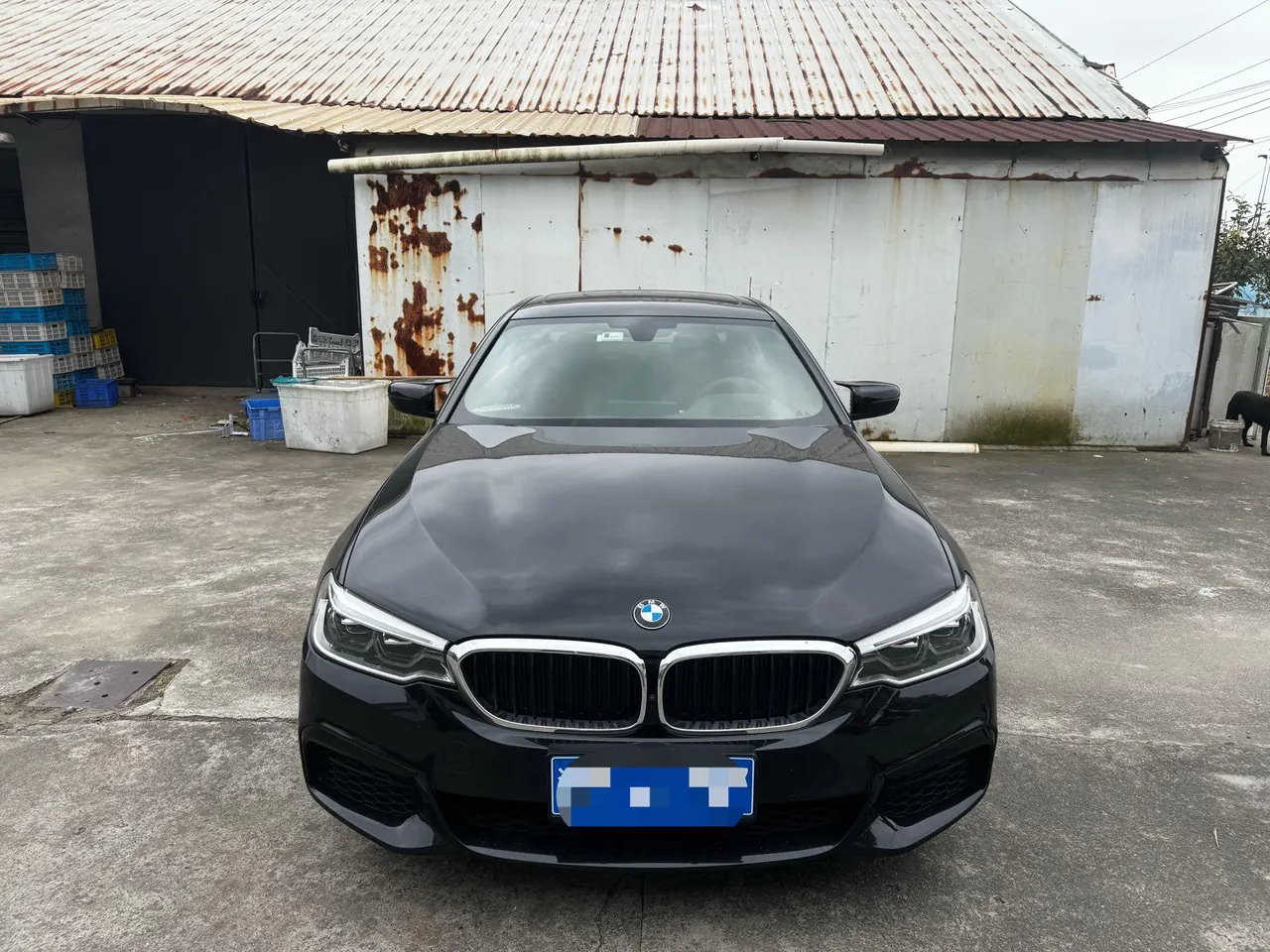 BMW 5 Series 2020 530Li 2.0T Exclusive M Sports Suit Automatic Gear 2