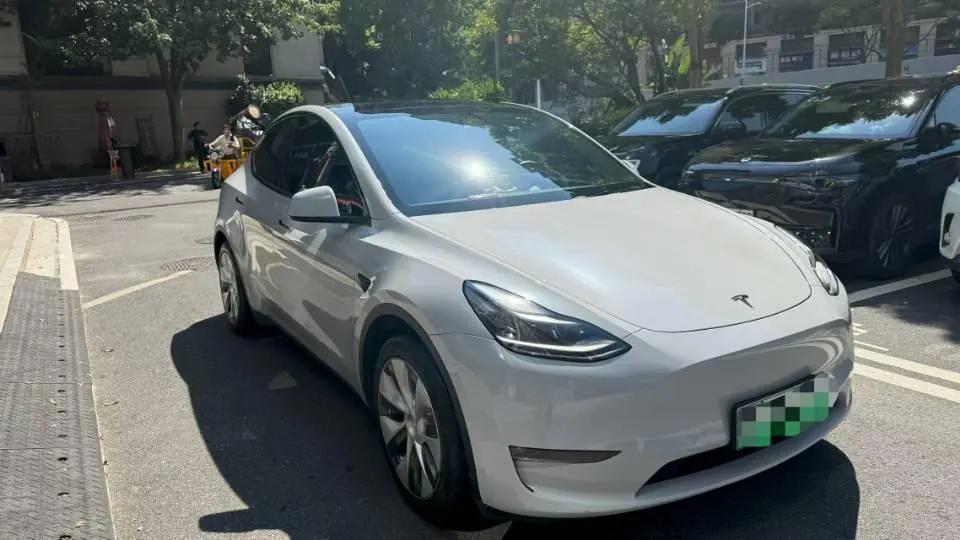 Tesla 2021 Model Y Standard Endurance Rear Drive Automatic Gear 3