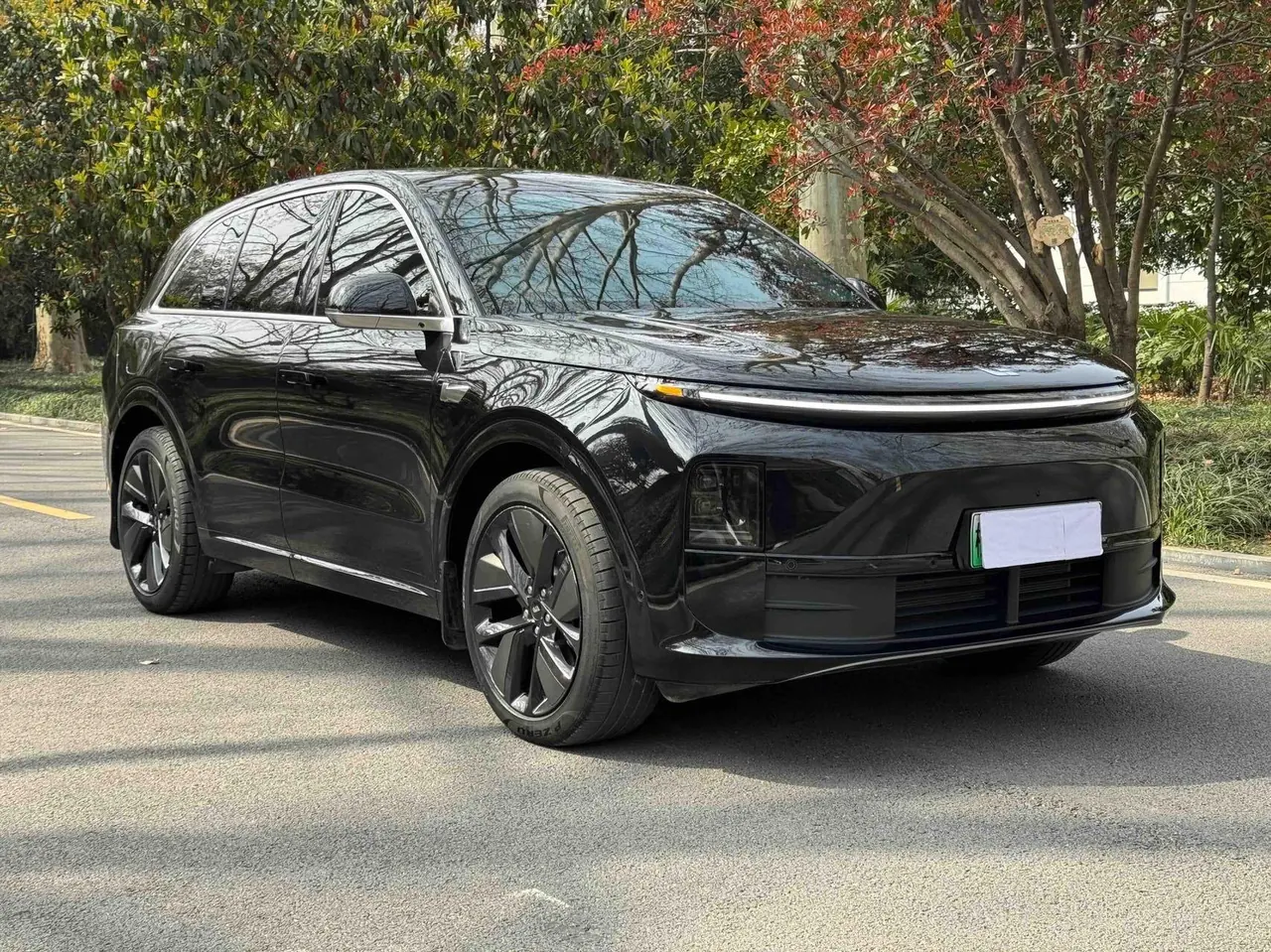 Li 2024 L6 Pro automatic gear 3