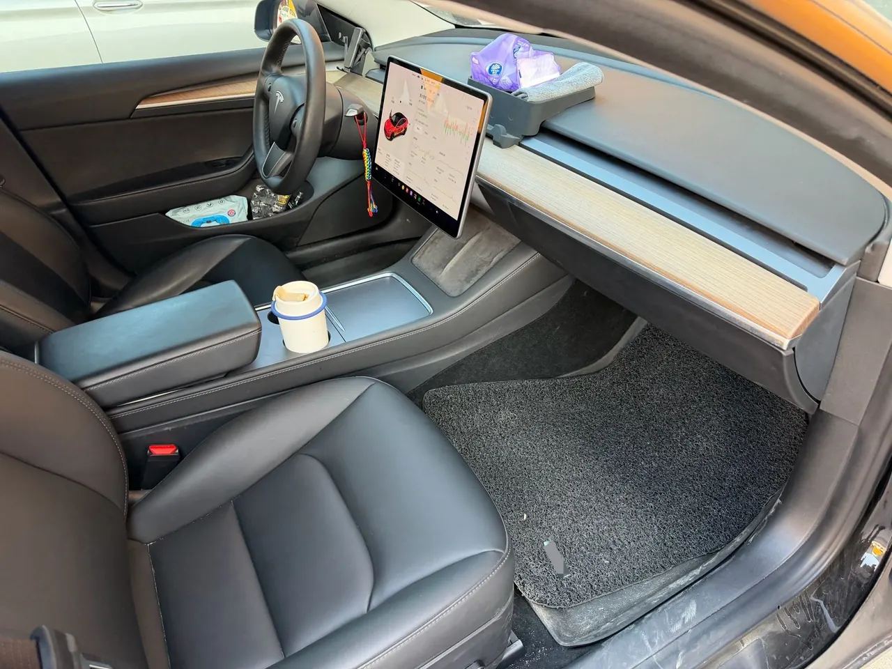 Tesla 2021 Model 3 Standard Endurance Rear Drive Upgraded Automatic Gear 10