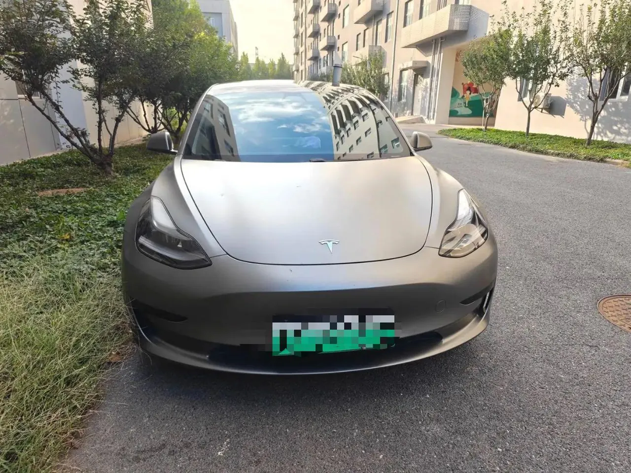Tesla 2021 Model 3 Standard Endurance Rear Drive Upgraded Automatic Gear 3