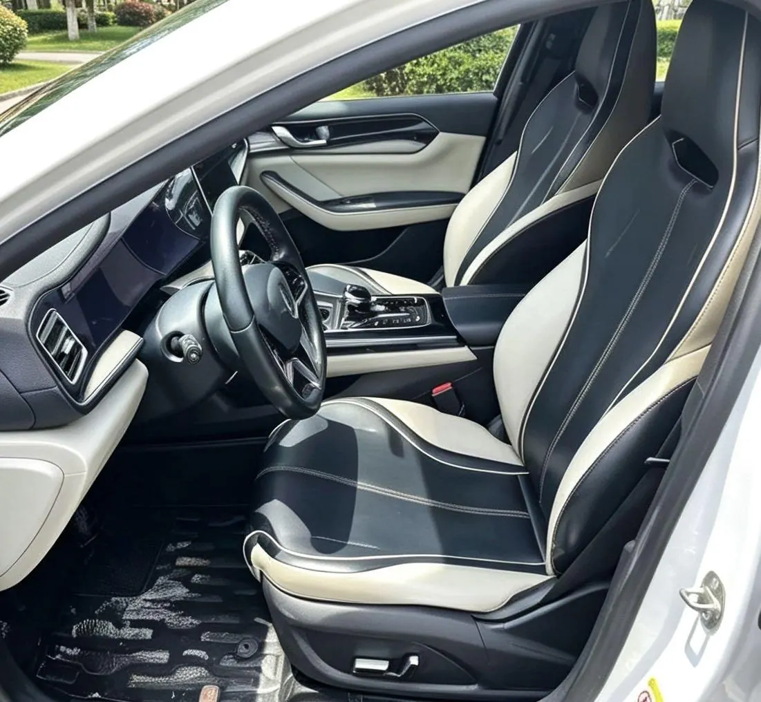 BYD 2021 Qin PLUS EV 500KM Luxury Automatic Gear 4