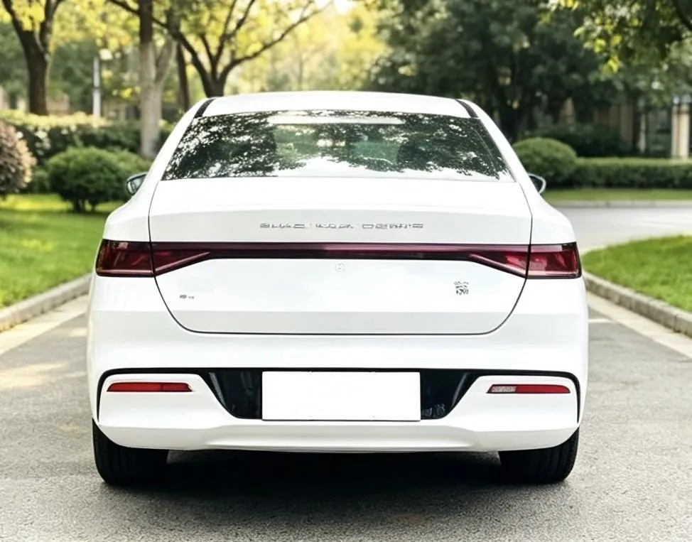 BYD 2021 Qin PLUS EV 500KM Luxury Automatic Gear 7