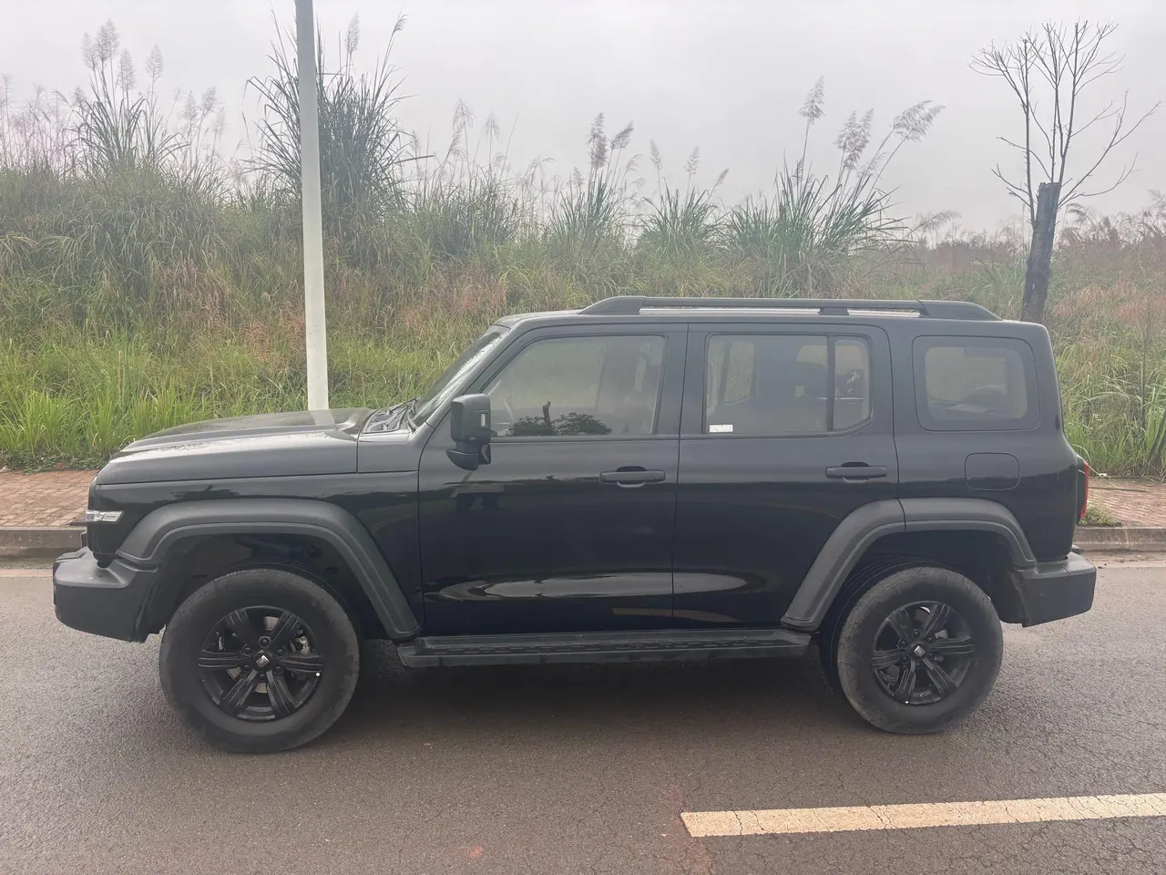 Tank 2023 Tank 300 2.0T Off-road Conqueror Automatic 3