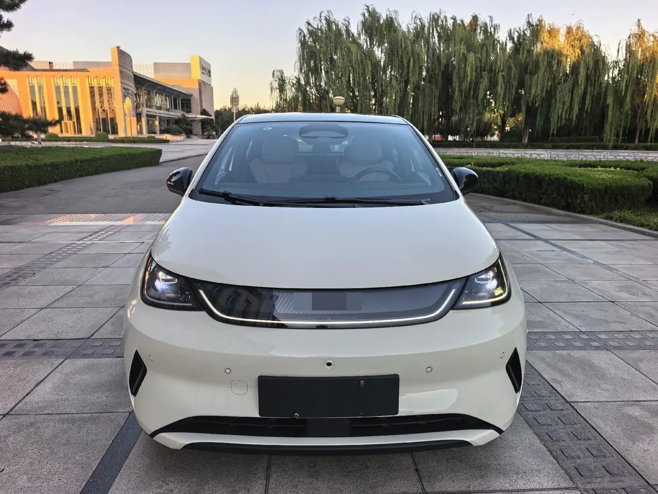 BYD 2025 Dolphin Smart Driving 410km Fashion Automatic Gear 2