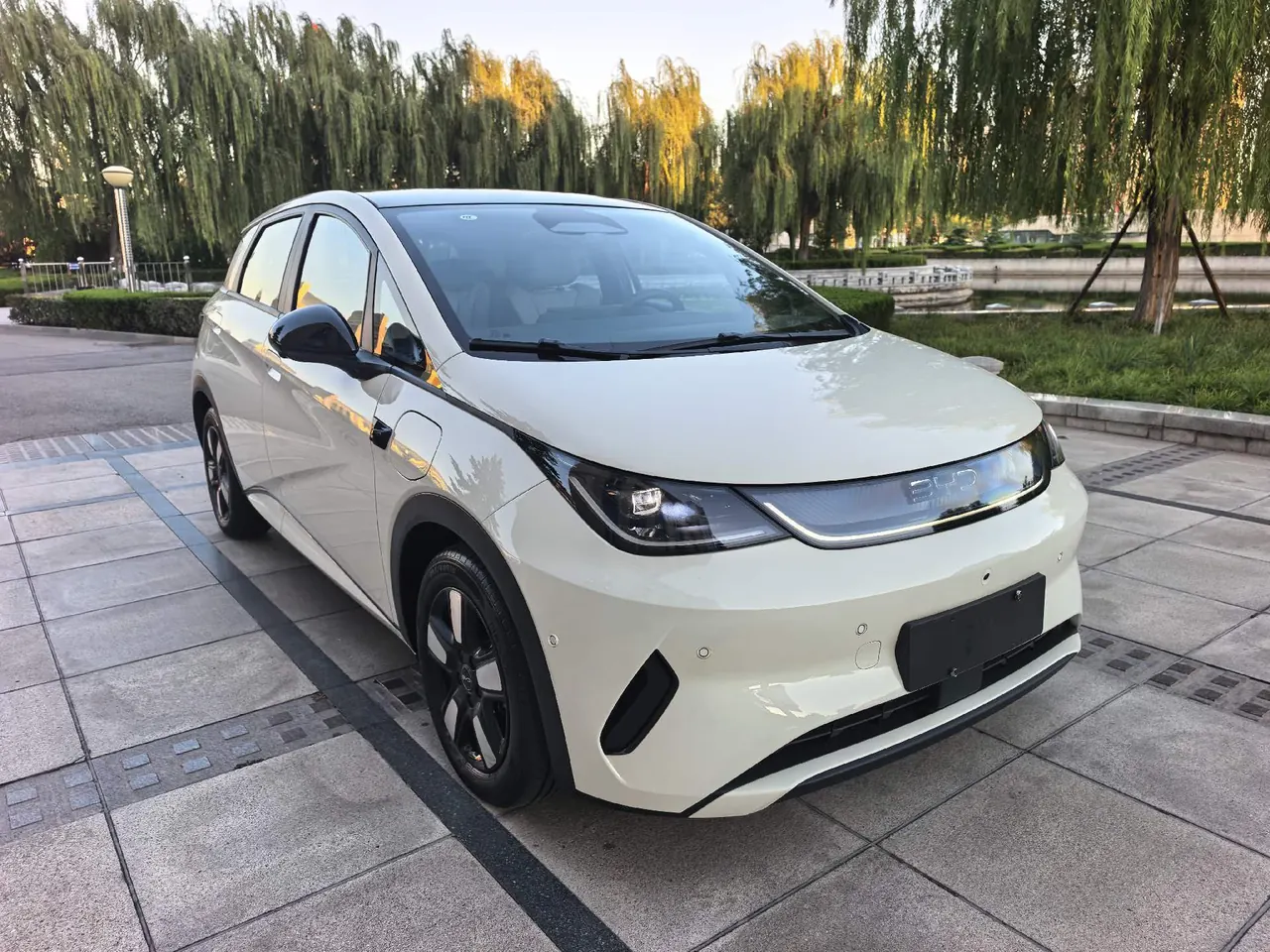 BYD 2025 Dolphin Smart Driving 410km Fashion Automatic Gear 3
