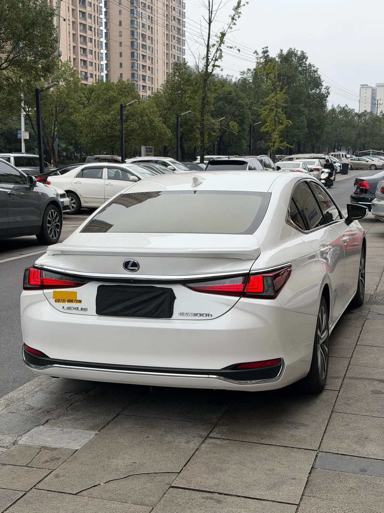 Lexus ES (Imported) 2020 ES300h 2.5 Stepless Excellence Edition Automatic Gear 3