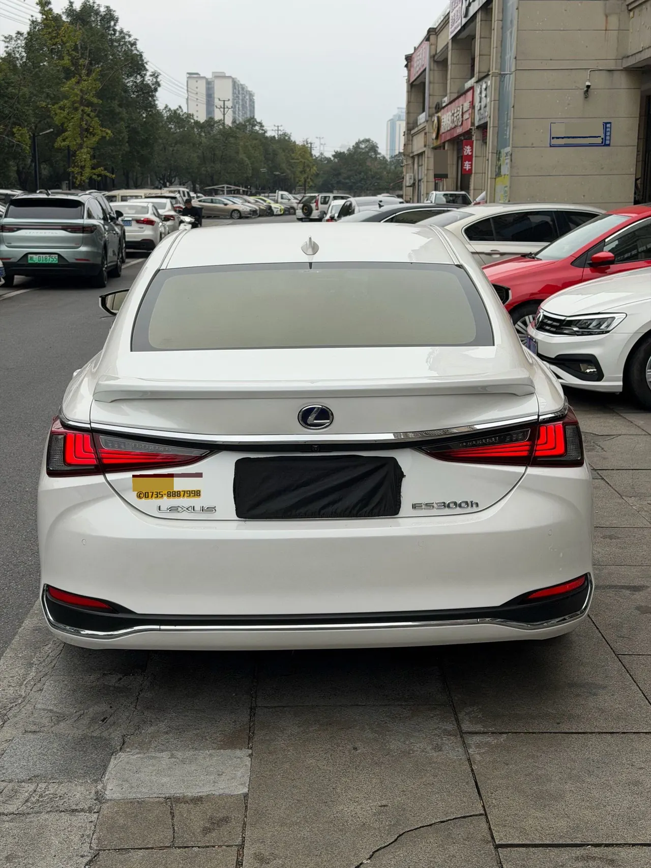 Lexus ES (Imported) 2020 ES300h 2.5 Stepless Excellence Edition Automatic Gear 4