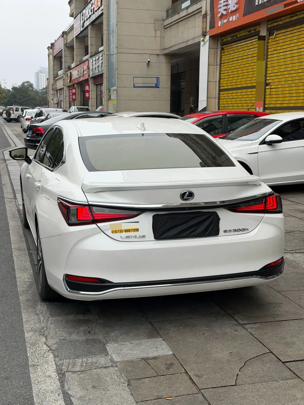 Lexus ES (Imported) 2020 ES300h 2.5 Stepless Excellence Edition Automatic Gear 5