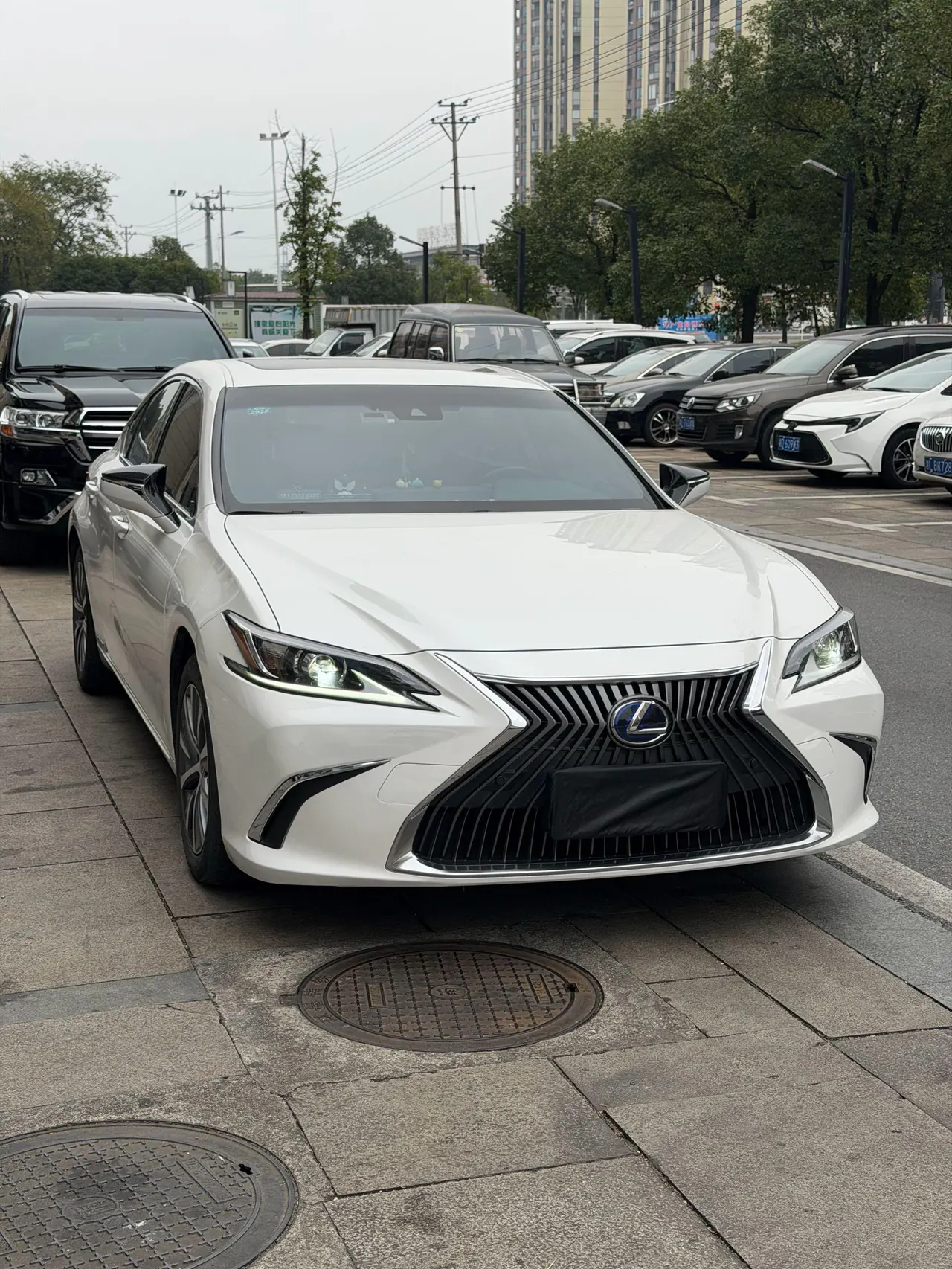 Lexus ES (Imported) 2020 ES300h 2.5 Stepless Excellence Edition Automatic Gear 8