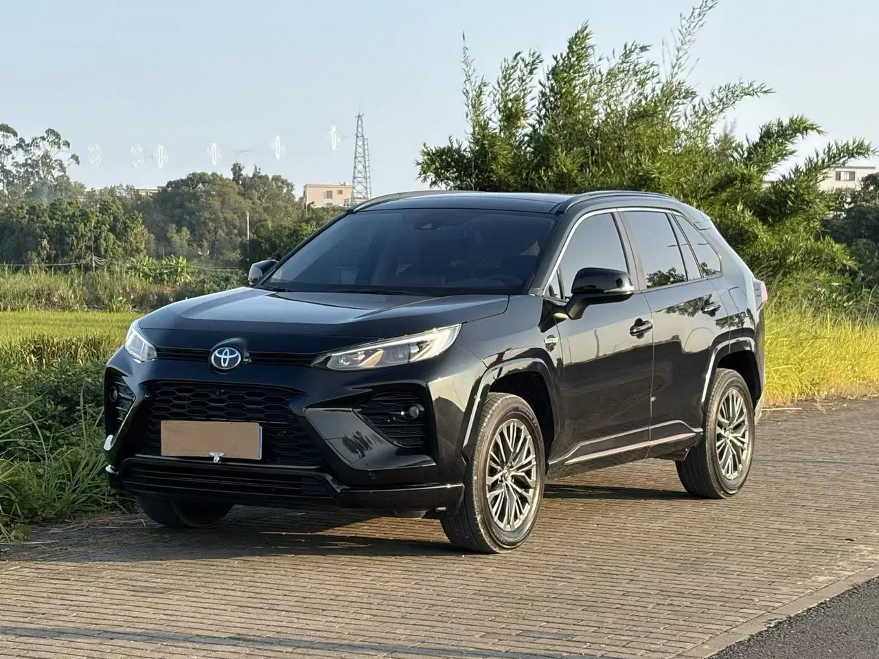 Toyota 2024 Weilanda Dual Engine 2.5 Stepless Two-Drive Luxury PLUS Edition Automatic Gear - View 1