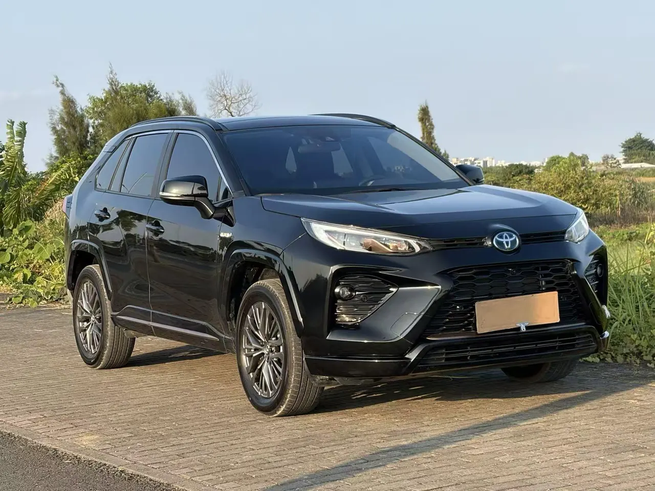 Toyota 2024 Weilanda Dual Engine 2.5 Stepless Two-Drive Luxury PLUS Edition Automatic Gear 2
