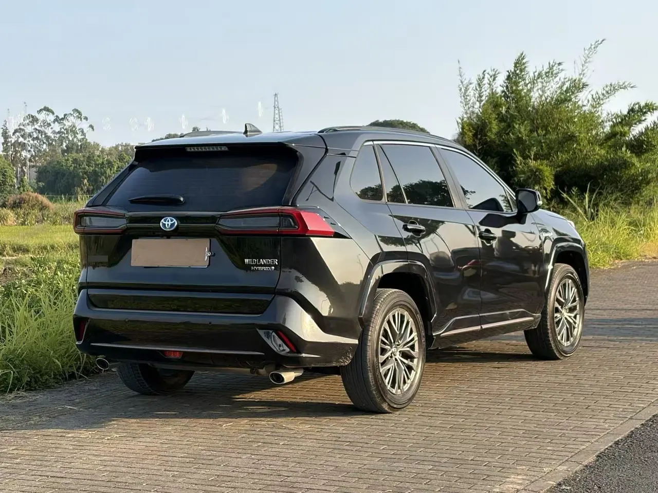 Toyota 2024 Weilanda Dual Engine 2.5 Stepless Two-Drive Luxury PLUS Edition Automatic Gear 3