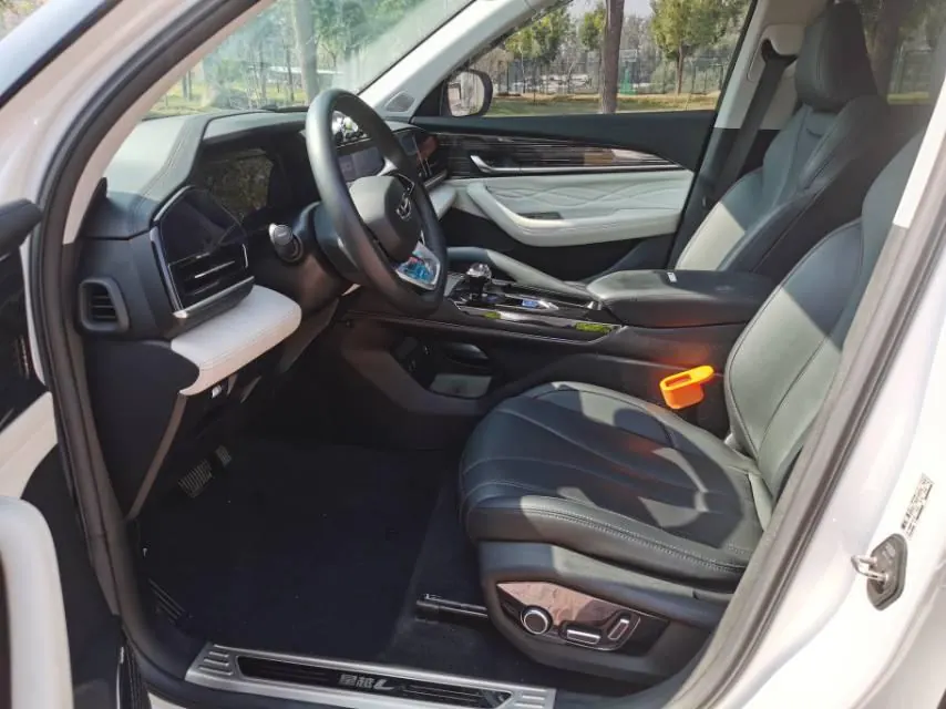 Geely 2023 XingyueL (Monjaro) 2.0TD high-power two-wheel drive flagship automatic transmission 3