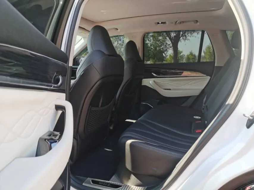 Geely 2023 XingyueL (Monjaro) 2.0TD high-power two-wheel drive flagship automatic transmission 4