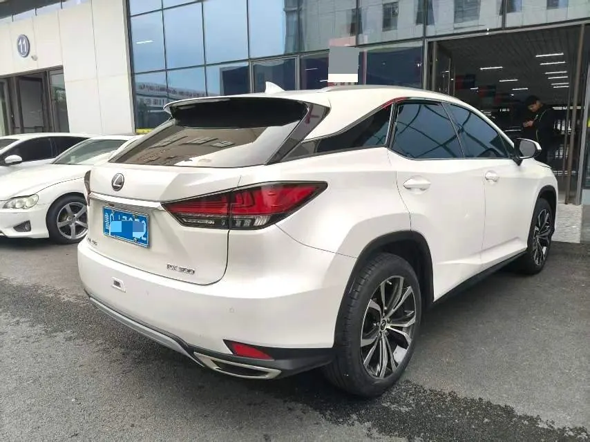 Lexus RX (Imported) 2020 RX300 2.0T Four-wheel Drive Elegant Edition (Modified) Automatic Gear 10