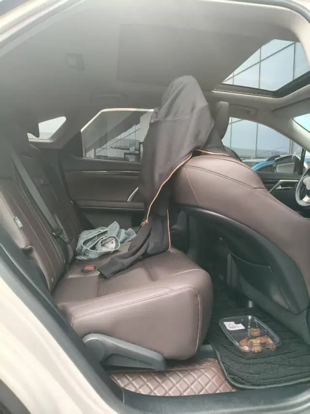 Lexus RX (Imported) 2020 RX300 2.0T Four-wheel Drive Elegant Edition (Modified) Automatic Gear 5